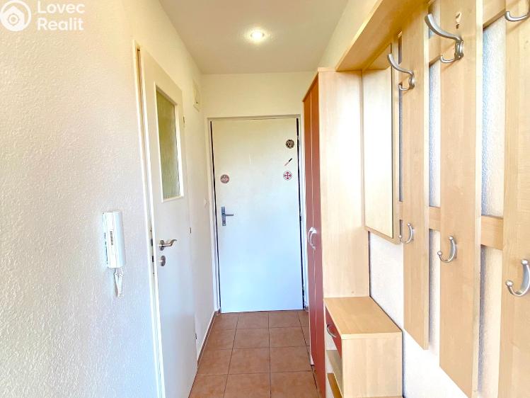 Pronájem bytu 1+1 Planá, Fučíkova 480 č. 16