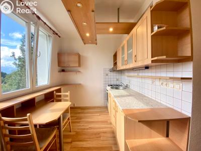 Pronájem bytu 1+1 Planá, Fučíkova 480 č. 1