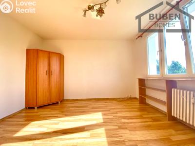 Pronájem bytu 1+1 Planá, Fučíkova 480 č. 2