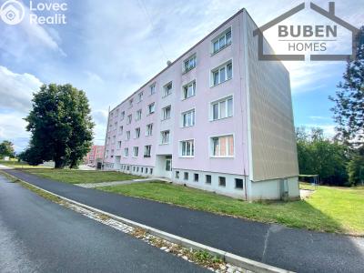 Pronájem bytu 1+1 Planá, Fučíkova 480 č. 4