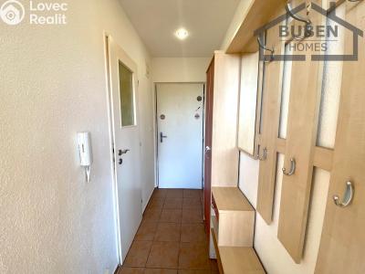 Pronájem bytu 1+1 Planá, Fučíkova 480 č. 5