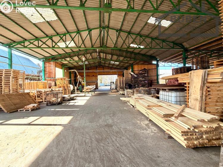 Prodej výrobní haly Tisová č. 4