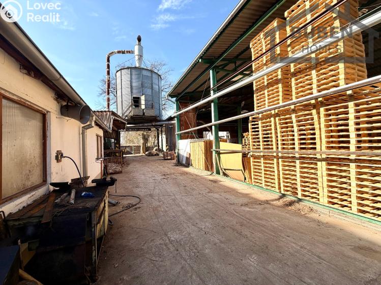 Prodej výrobní haly Tisová č. 64