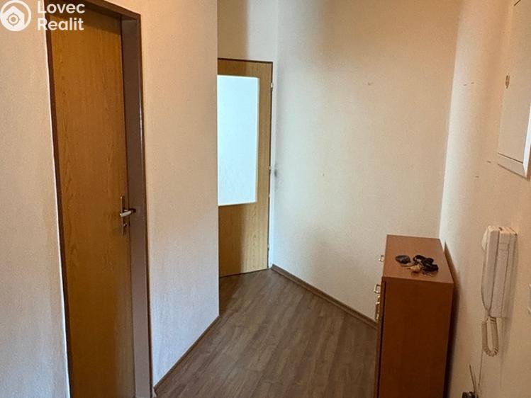 Pronájem bytu 2+1 Sušice, Kaštanová 1259 č. 4