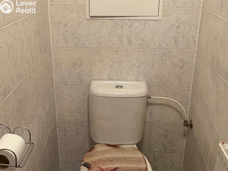 Pronájem bytu 2+1 Sušice, Kaštanová 1259 č. 9