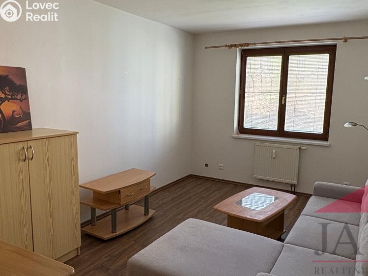 Pronájem bytu 2+1 Sušice, Kaštanová 1259 č. 10