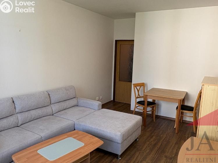 Pronájem bytu 2+1 Sušice, Kaštanová 1259 č. 11