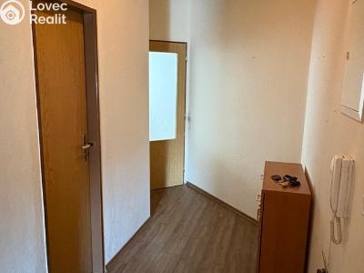 Pronájem bytu 2+1 Sušice, Kaštanová 1259 č. 4