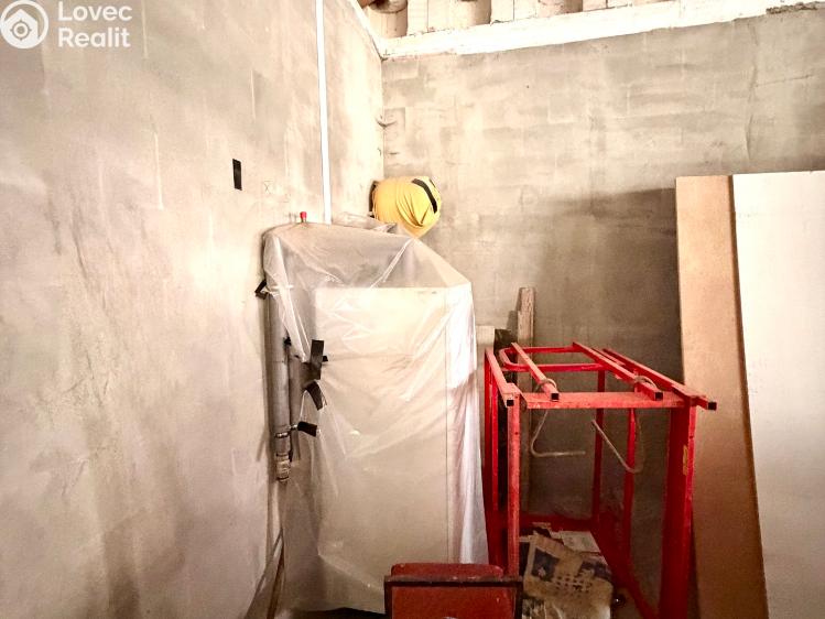 Prodej obchodního prostoru Planá č. 39