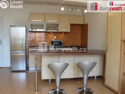 Pronájem bytu 1+KK Poděbrady, Táboritská č. 1