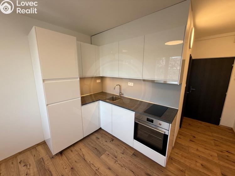 Pronájem bytu 1+KK České Budějovice, Pekárenská 1020/7 č. 2