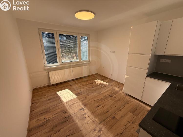 Pronájem bytu 1+KK České Budějovice, Pekárenská 1020/7 č. 3