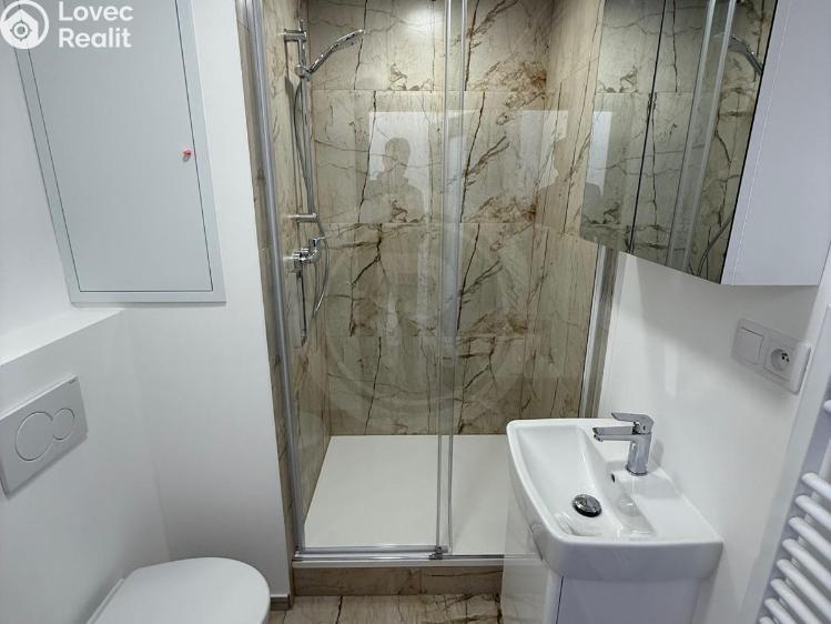 Pronájem bytu 1+KK České Budějovice, Pekárenská 1020/7 č. 6