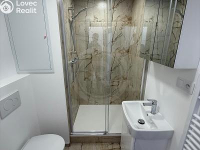 Pronájem bytu 1+KK České Budějovice, Pekárenská č. 6