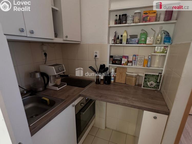 Pronájem bytu 1+KK Praha 1, Dlouhá č. 3