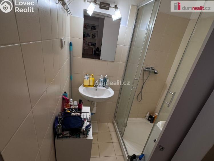 Pronájem bytu 1+KK Praha 1, Dlouhá č. 8