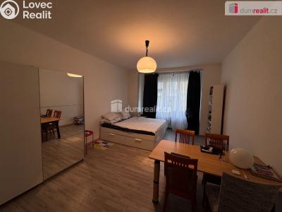 Pronájem bytu 1+KK Praha 1, Dlouhá č. 1