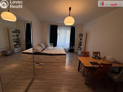 Pronájem bytu 1+KK Praha 1, Dlouhá č. 2