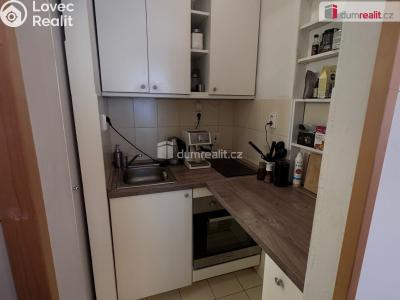 Pronájem bytu 1+KK Praha 1, Dlouhá č. 4