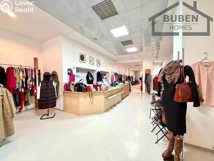 Sale multi-gen house Plzeň, Sedláčkova 210/14 č. 13