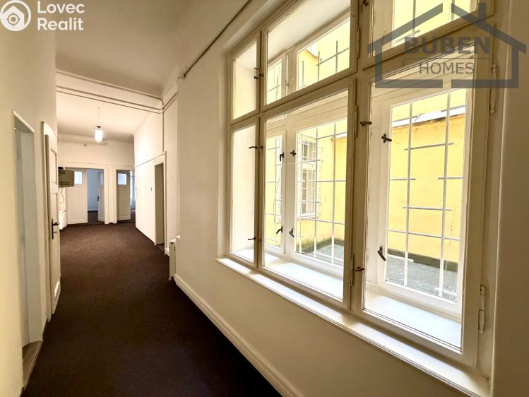 Sale multi-gen house Plzeň, Sedláčkova 210/14 č. 23