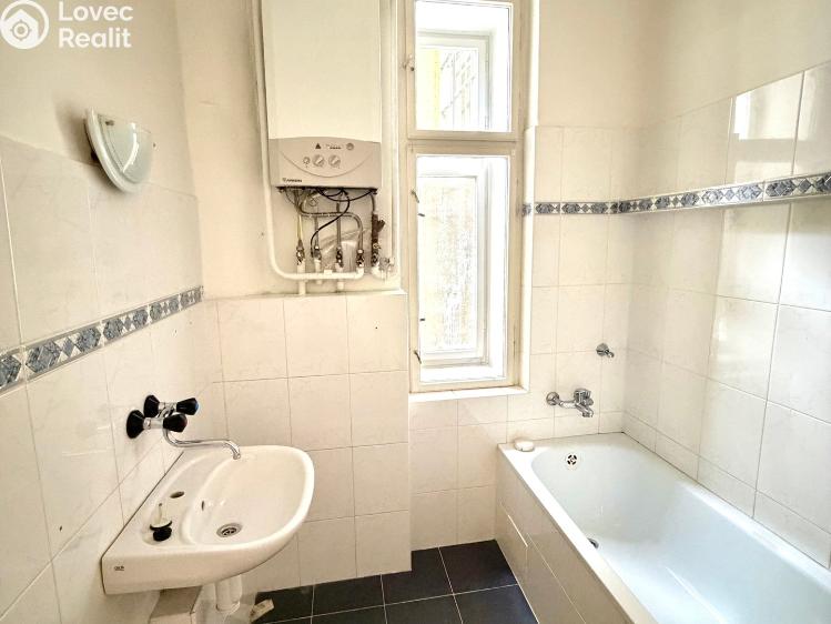 Sale multi-gen house Plzeň, Sedláčkova 210/14 č. 54