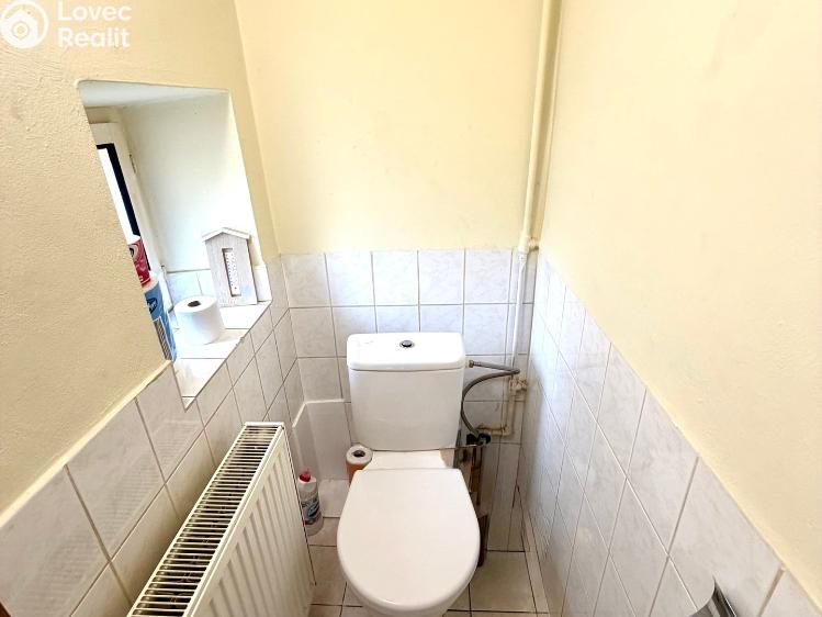 Sale multi-gen house Plzeň, Sedláčkova 210/14 č. 60