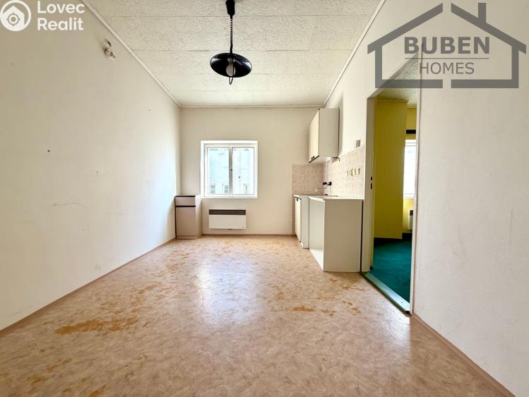 Sale multi-gen house Plzeň, Sedláčkova 210/14 č. 61