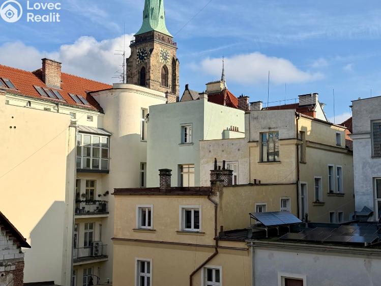 Sale multi-gen house Plzeň, Sedláčkova 210/14 č. 82