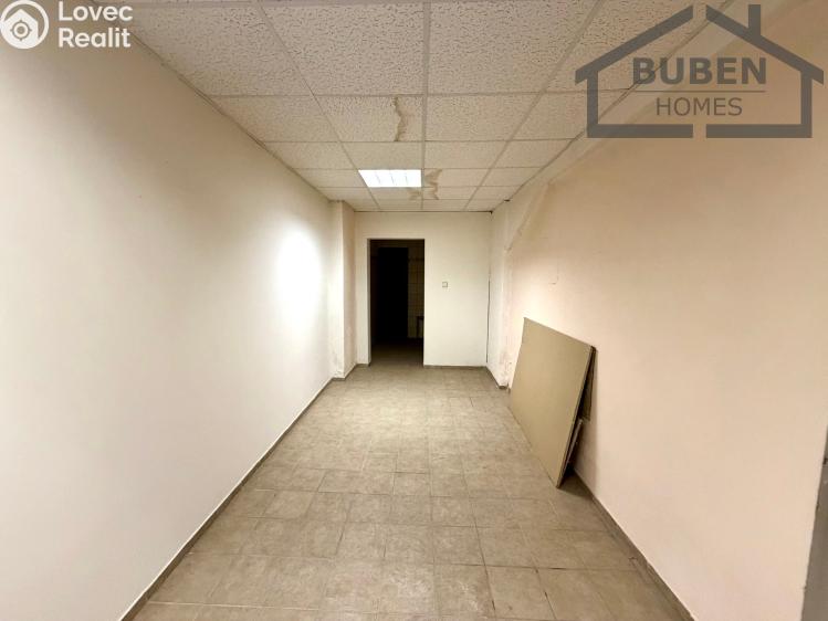 Sale multi-gen house Plzeň, Sedláčkova 210/14 č. 87