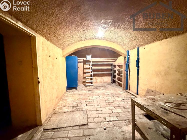 Sale multi-gen house Plzeň, Sedláčkova 210/14 č. 89