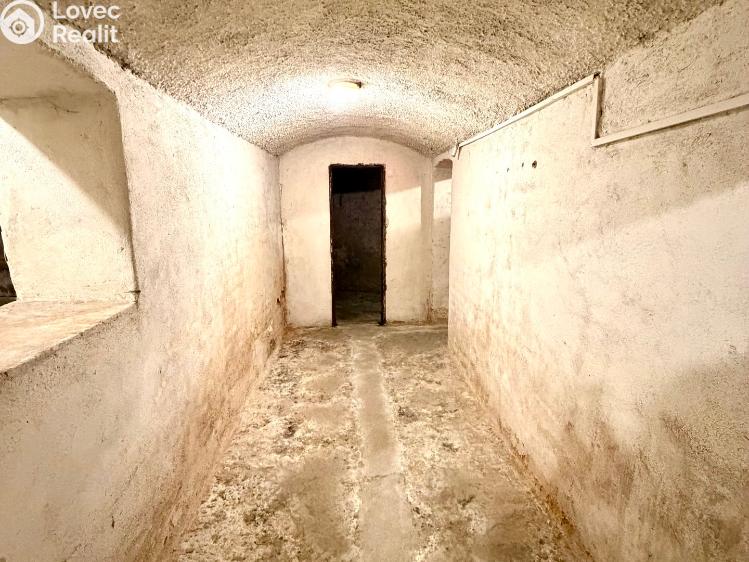 Sale multi-gen house Plzeň, Sedláčkova 210/14 č. 91