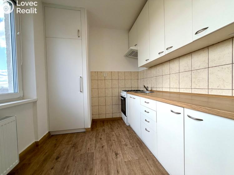 Pronájem bytu 2+1 Planá, Fučíkova 456 č. 1