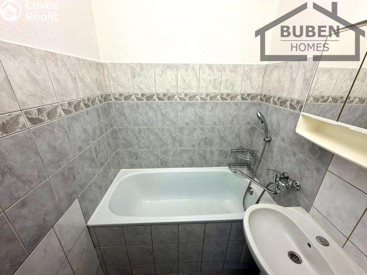 Pronájem bytu 2+1 Planá, Fučíkova 456 č. 19