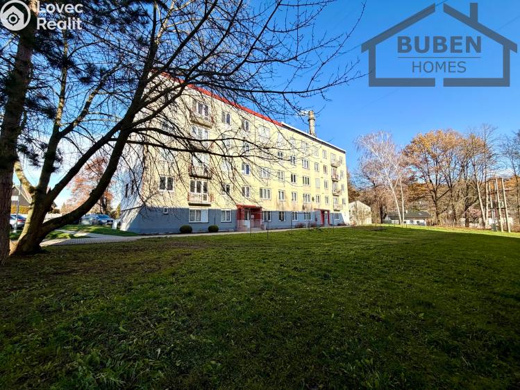 Pronájem bytu 2+1 Planá, Fučíkova 456 č. 29