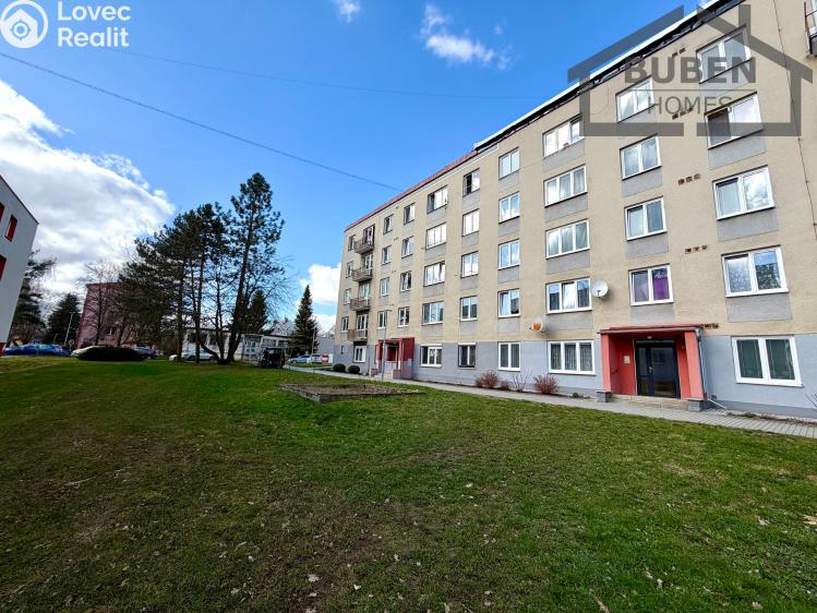 Pronájem bytu 2+1 Planá, Fučíkova 456 č. 30