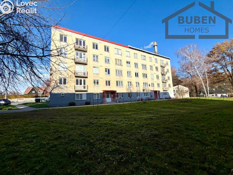 Pronájem bytu 2+1 Planá, Fučíkova 456 č. 32