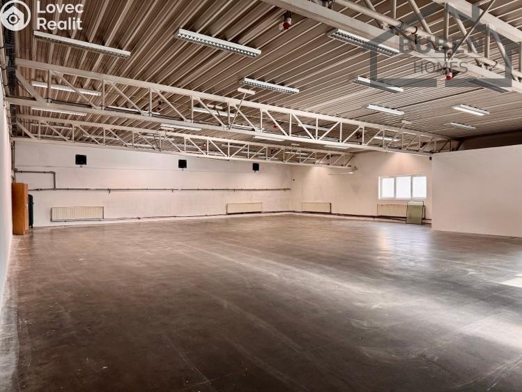 Аренда производственного цеха Staré Sedliště č. 13