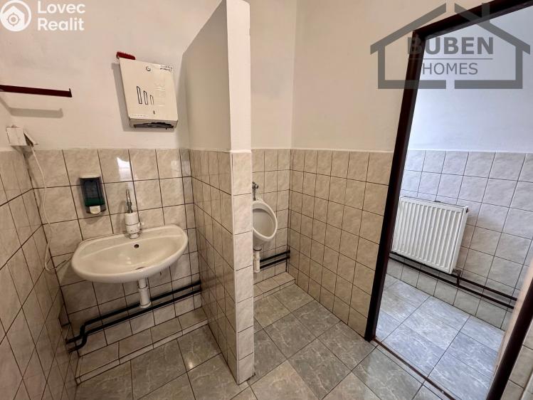 Аренда производственного цеха Staré Sedliště č. 19