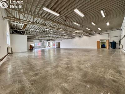 Rent production hall Staré Sedliště č. 1
