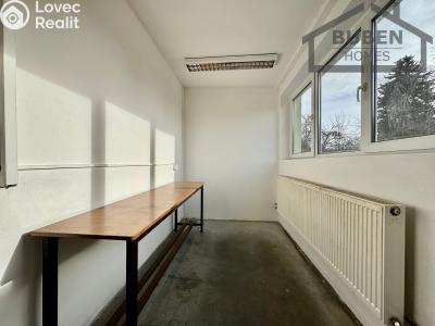 Rent production hall Staré Sedliště č. 4