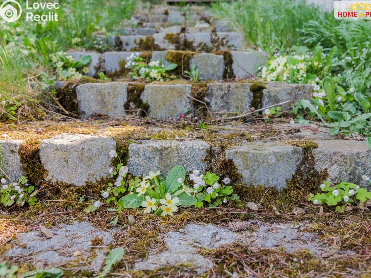 Продажа хижины Samopše č. 28