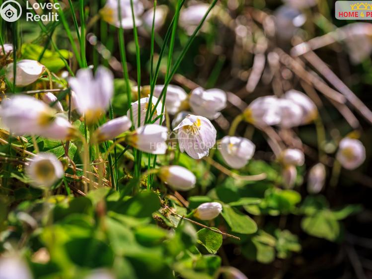 Продажа хижины Samopše č. 29