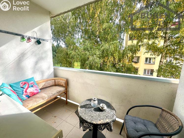 Prodej bytu 1+1 Mariánské Lázně, Dyleňská 698/3 č. 43