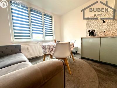 Prodej bytu 1+1 Mariánské Lázně, Dyleňská č. 2