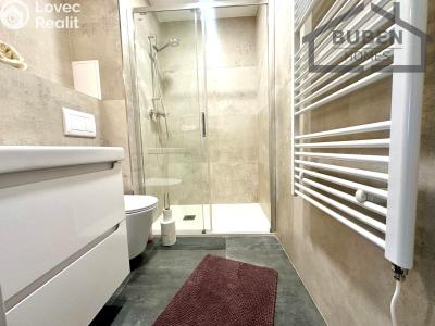 Prodej bytu 1+1 Mariánské Lázně, Dyleňská č. 5