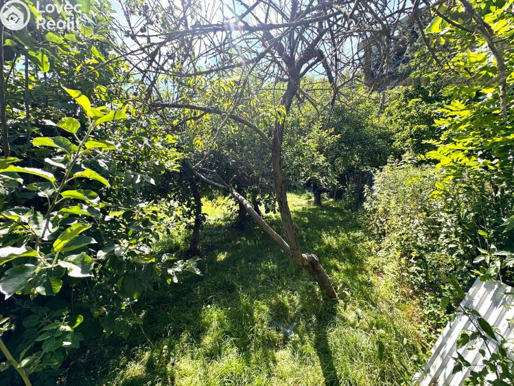 Prodej bytu 3+1 Chodský Újezd č. 41