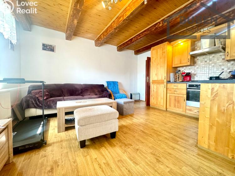 Продажа семейного дома Bor č. 7