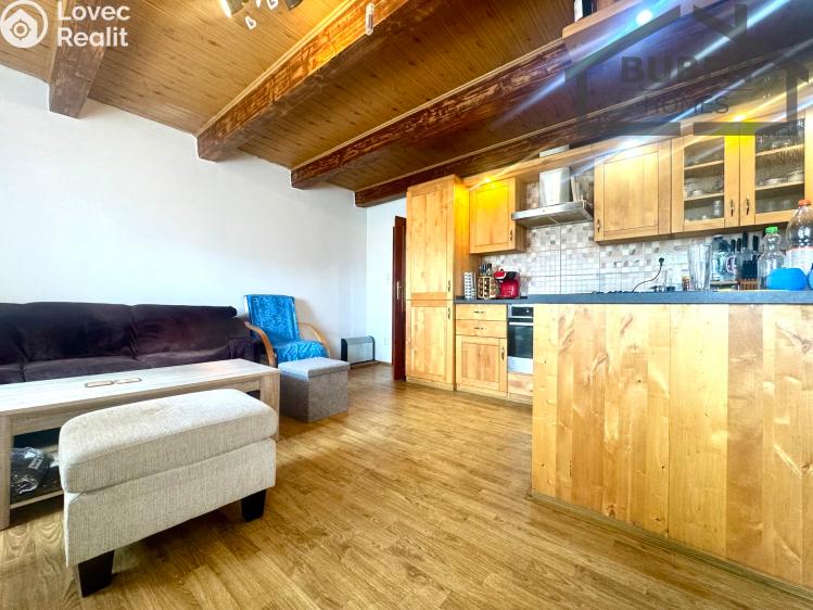 Продажа семейного дома Bor č. 19