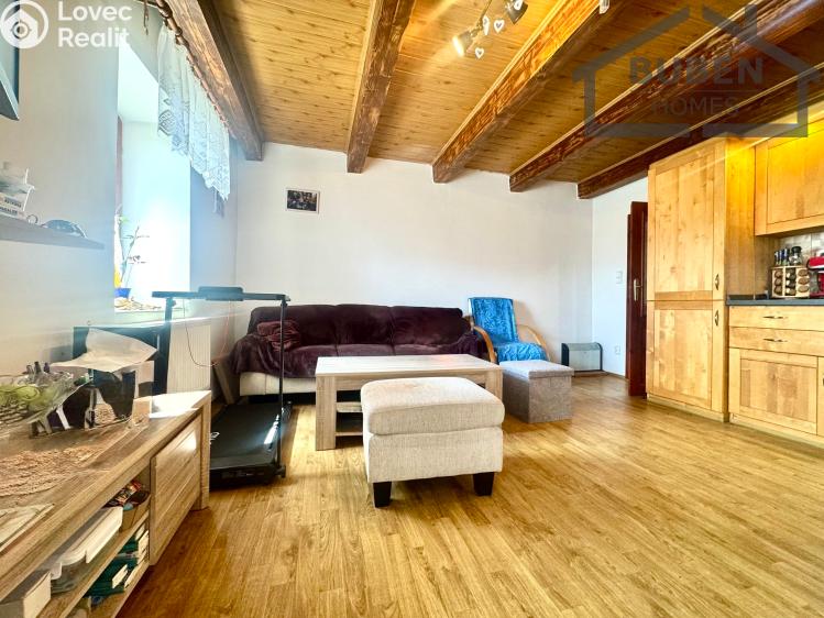 Продажа семейного дома Bor č. 20